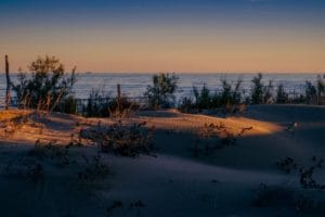 Come to Lido not just for the sea: three naturalistic oases to visit