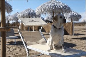 Pachuka Bau Beach