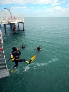 Freetime Diving
