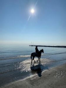 Der Reitclub des Lido