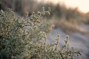 WWF-Naturschutzgebiet